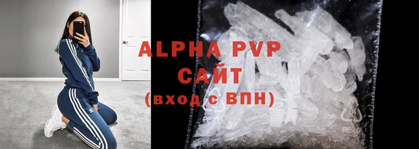 ПСИЛОЦИБИНОВЫЕ ГРИБЫ Костерёво