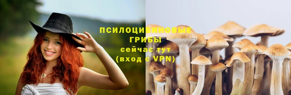 не бодяженный Коряжма