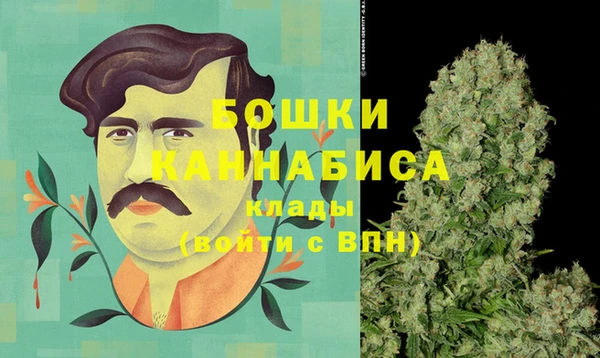 ПСИЛОЦИБИНОВЫЕ ГРИБЫ Костерёво