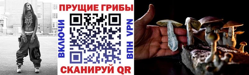 блэк спрут сайт  Томск  Псилоцибиновые грибы Psilocybine cubensis  где купить наркоту 