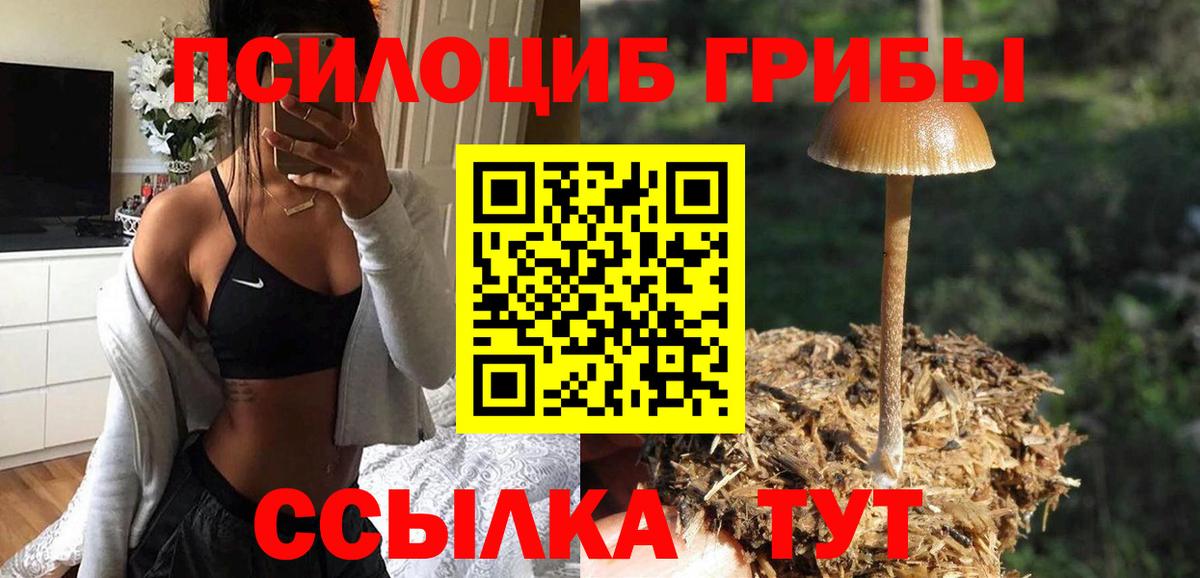 Галлюциногенные грибы Magic Shrooms Томск