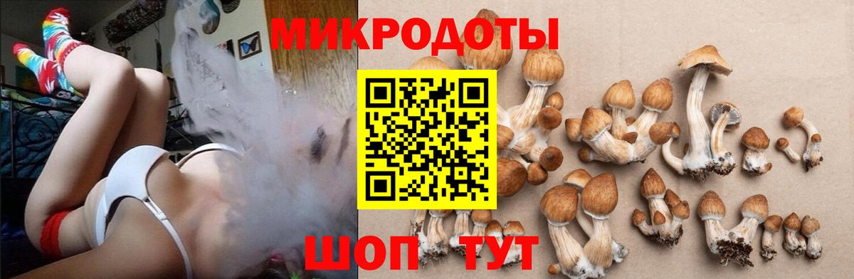 Псилоцибиновые грибы мицелий  Галлюциногенные грибы Psilocybe  цена наркотик  Томск 