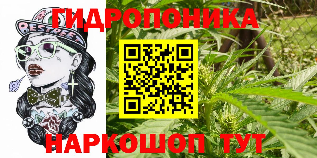 МАРИХУАНА White Widow  Бошки марихуана VHQ  Томск 